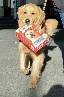 Time for a snack! (photo by Sae Hokoyama)