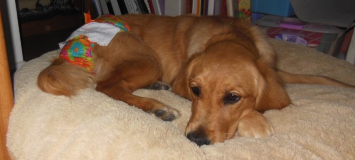 Cali flowered skirt_crop