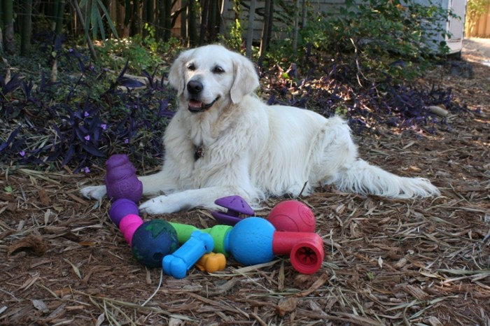 Jana, with her favorite treat toys