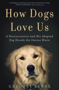 Cover of How Dogs Love Us by Gregory Berns, showing a golden dog's face on a black background