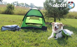 doggy tent