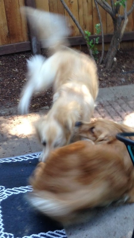 Mom's not paying attention!