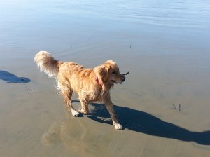 Photo by Christina Phelps