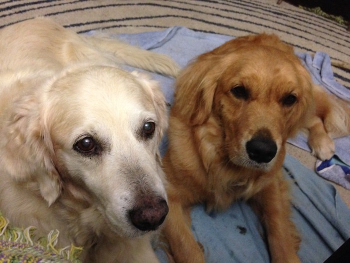 Will you take care of us?