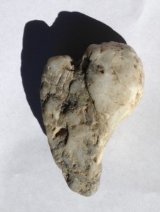 Russian RIver April 2015