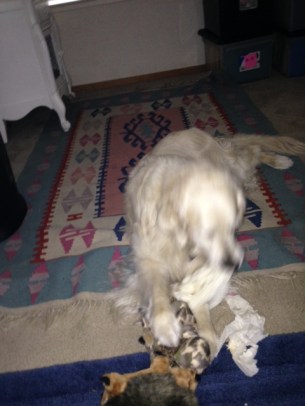 Opening birthday presents helps keep Jana young and happy!