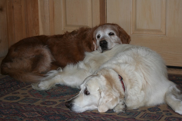 Does Jana still miss her best friend, Oriel?