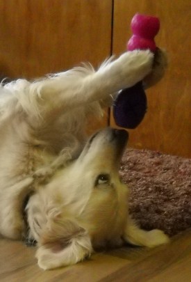 sizing up the problem