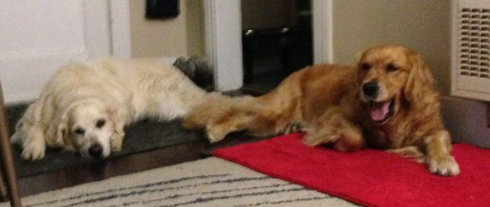 Jana and Cali_post vestibular_crop