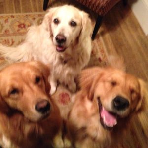 Cali seems to laugh; pictured with Dora and Jana