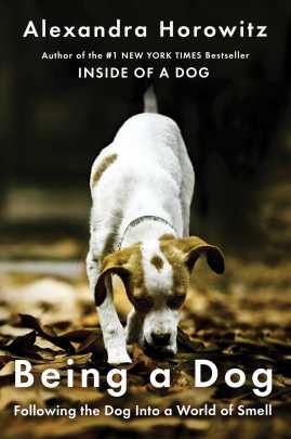 Book cover of Being a Dog by Alexandra Horowitz; small brown-and-white dog sniffing leaves