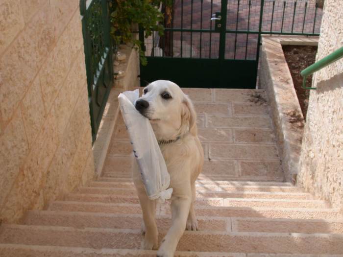 Jana, at 4 months old, gets the paper