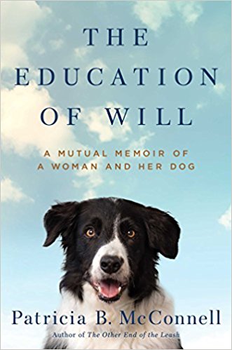 Photo of the book cover of The Education of Will