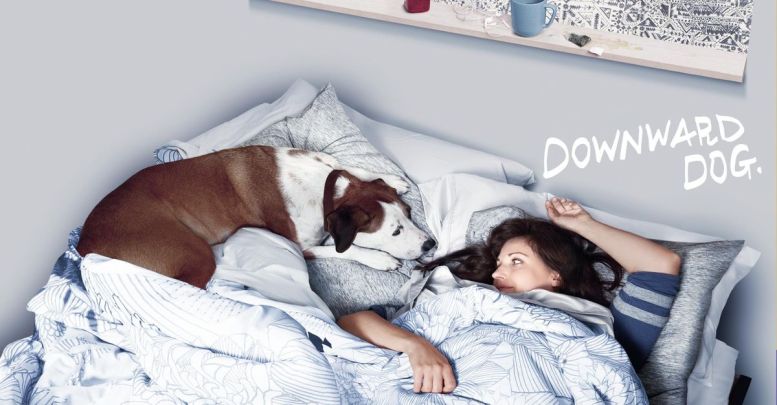 A promotional shot of Martin and Nan from ABC's TV show Downward Dog