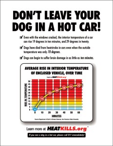 Graphic image showing how quickly a car can heat up on a hot day from heatkills.org