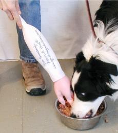 A fake hand is poked into a dog's food bowl to see if he responds with aggression