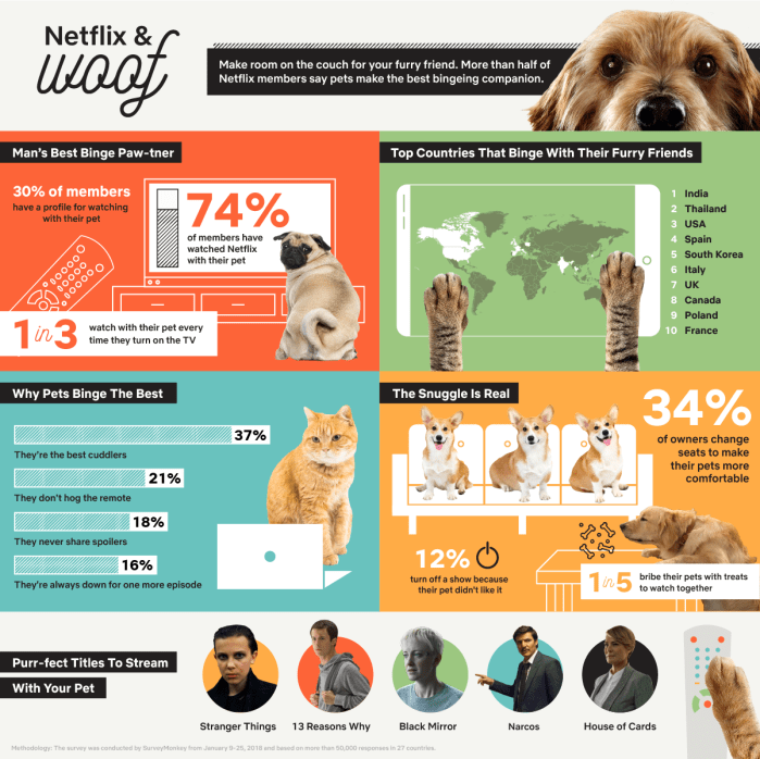 Infographic shows Netflix survey results