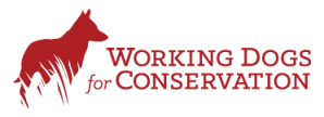 Working Dogs for Conservation logo features a dog standing in the grass
