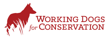 Working Dogs for Conservation logo features a dog standing in the grass