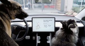 A screen shows the Tesla Dog MOde message, My owner will be back soon.