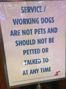 sign reads "service / working dogs are not pets and should not be petted or talked to at any time."
