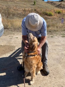 Golden retriever Cali gazes up at Sid, a seated man in a blue shirt and tan hat