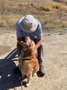 Golden Retriever Cali twists her head to watch Sid, a man in a blue shirt and tan hat