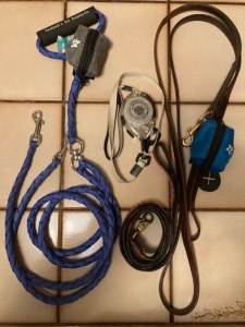 A double leash, a small retractable leash, a leather leash and a coiled fabric leash