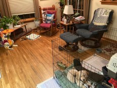 A living room with an ex pen, a chair, and no sofa