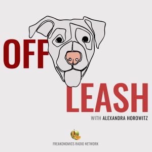 The Off Leash podcast logo shows a drawing of a dog's head and the title in red letters