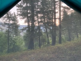A view of sunset and trees from the tent window