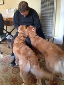 Goldens Dora and Cali cuddle with Dora's dad