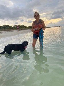 Black Lab Ida wades into the water to stand near Deni, dressed in shorts and tank top, holding a long blue leash.
