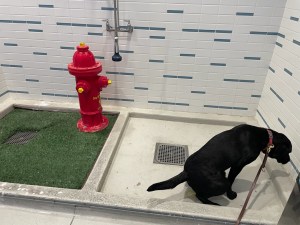 If supplies had been restocked, Atlanta might have earned 9 points ... 