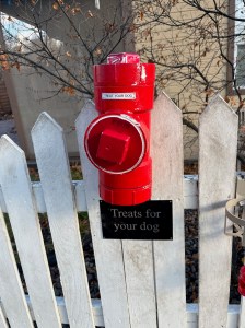 A red plastic fire hydrant on a white picket fence with a sign saying "Treats for your dog"