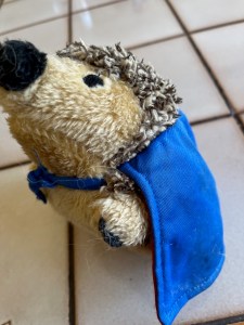 A hedgehog dog toy with a blue cape