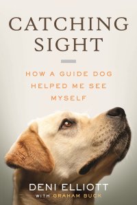 Catching Sight book cover shows guide dog Alberta, a yellow Lab looking up and to the right